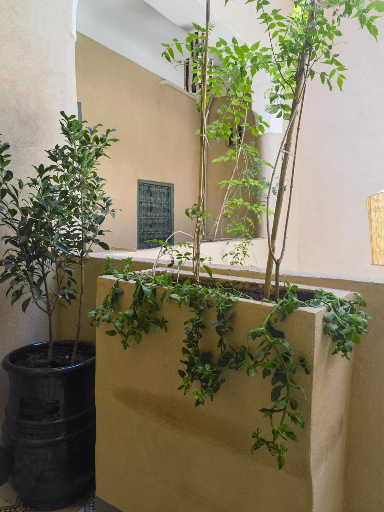 Medina Oasis Hostel Marrakesh Bagian luar foto