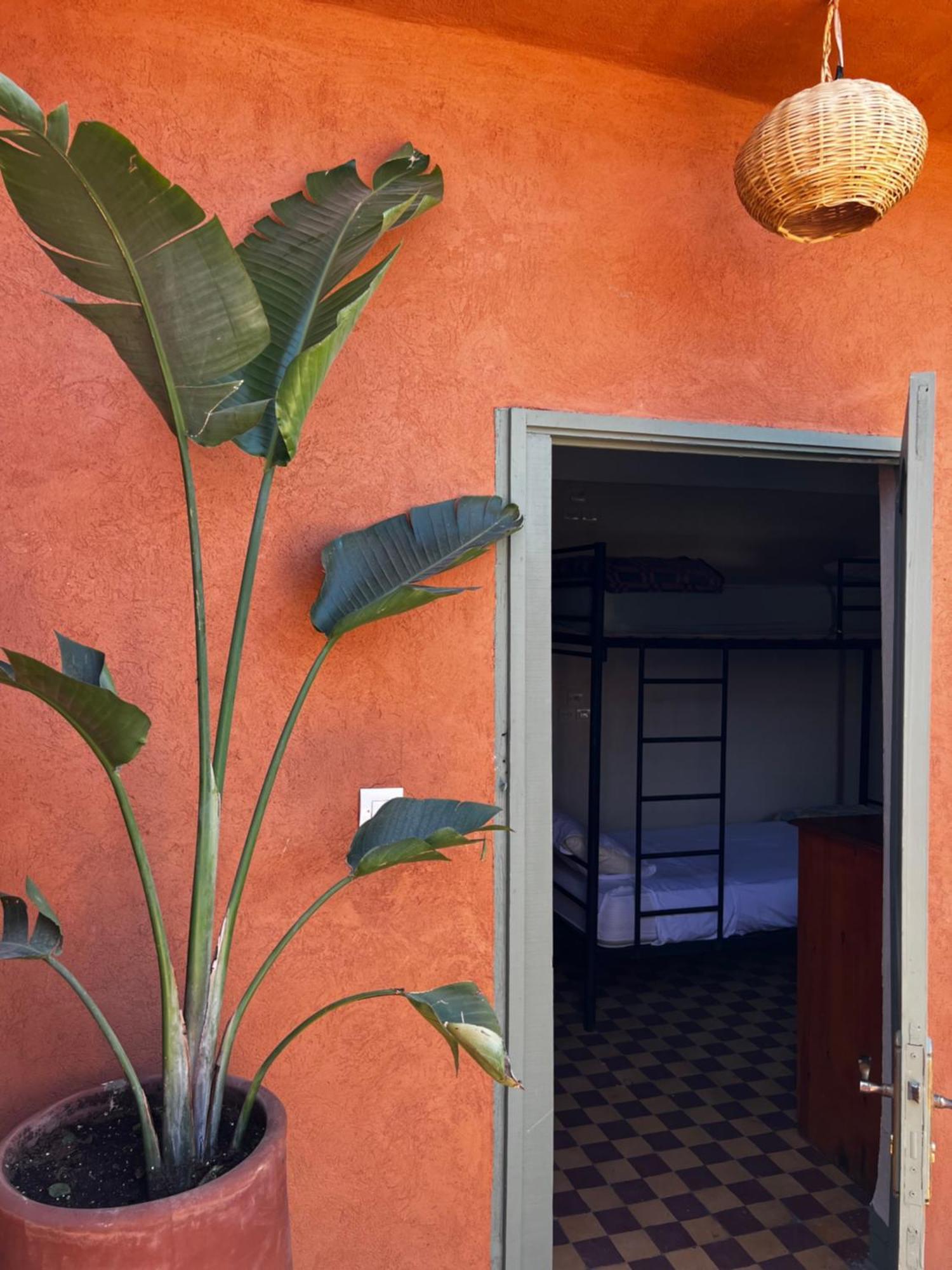 Medina Oasis Hostel Marrakesh Bagian luar foto